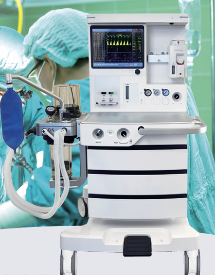 Gastroenterologist examining a patient's digestive health